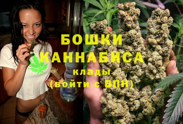 шишки Тында