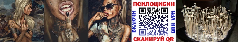 Купить где  Бутурлиновка  Псилоцибиновые грибы GOLDEN TEACHER 