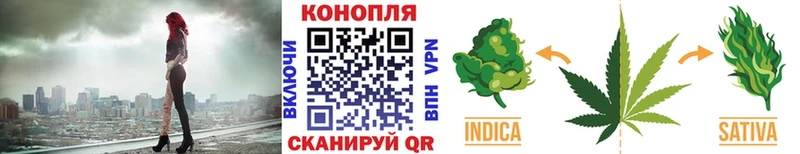 Бошки марихуана планчик  Купить  Бутурлиновка 